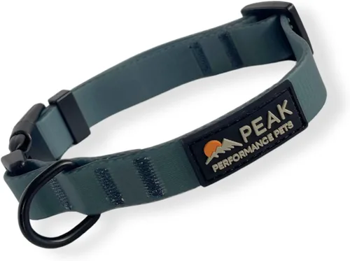 Vista 10 de Overlook Collar Impermeable para Perros Pequeño Aqua/Naranja Tribal, Duradero, Cómodo, Moderno Cachorros y Perros Pequeños Fácil de Limpiar, A
