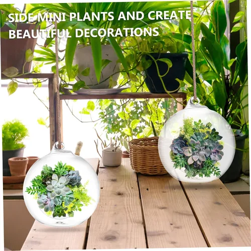 Vista 6 de BESTonZON 6 jarrones colgantes de terrario para plantas suculentas, macetas decorativas de interior, botellas ecológicas hidropónicas de vidrio