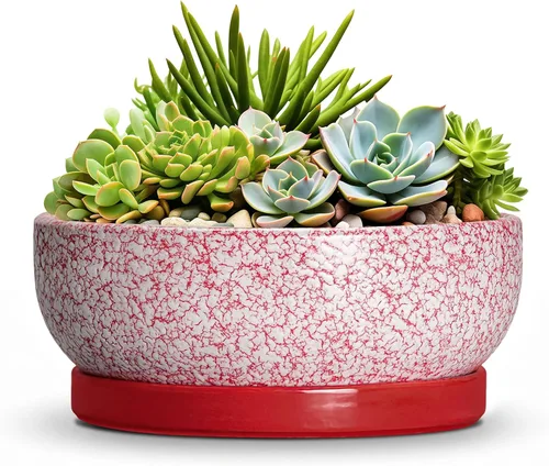 Vista 26 de Succulent Pots, 6 Inch Ceramic Bonsai Pots with Saucer, Blue