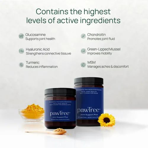 Vista 3 de pawTree Suplemento de apoyo articular y cadera para perros y gatos con glucosamina, condroitina, MSM, mejillones tuméricos y de labios verdes
