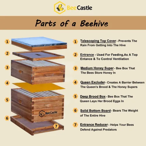 Vista 2 de BeeCastle Colmena de abejas Langstroth de 8 marcos recubierta con 100% cera de abeja, incluye marcos de colmena y bases enceradas