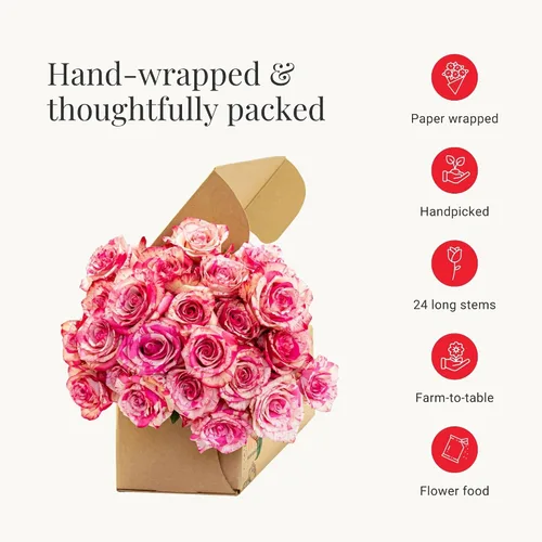 Vista 3 de BloomsyBox - Rosas Bicolor - 24 tallos largos, de larga duración, atadas a mano en envases ecológicos, jarrón no incluido, flores frescas