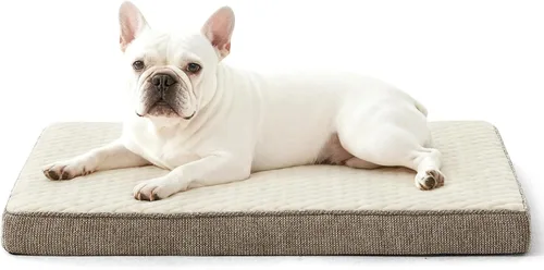 Vista 22 de JOEJOY Cama ortopédica para perros extra grandes