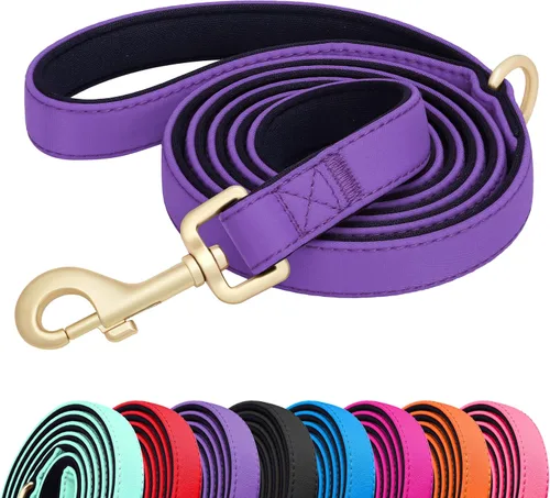 Vista 9 de Didog Correa para perro de nailon colorido de 5 pies con acolchado suave de longitud completa, ligera y duradera para perros pequeños, negro, S