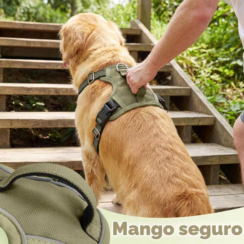 Vista 4 de Funfox Arnés para perro sin tirones, arnés de chaleco ajustable para mascotas, material súper suave con mango vertical, fácil control, paseo Verde
