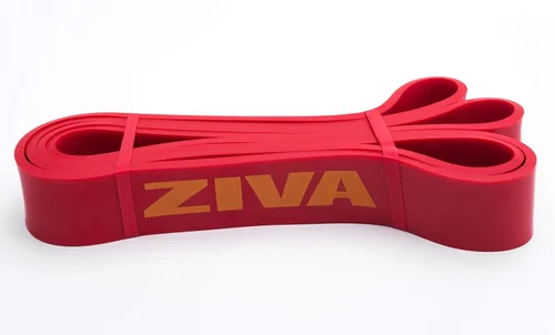 Vista 10 de Ziva PRO - Banda de resistencia portátil, bandas de ejercicio de asistencia para dominadas para fitness en casa, estiramiento, entrenamiento