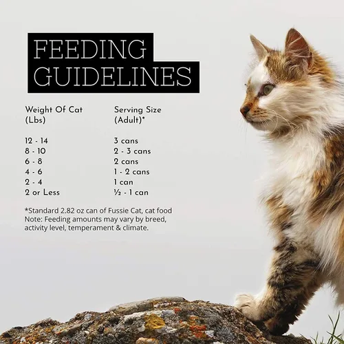 Vista 5 de Fussie Cat Super Premium - Alimento húmedo enlatado para gatos, paquete variado de 12 latas con cuenco de comida para mascotas HS (6 sabores)