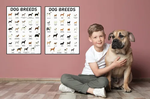 Vista 5 de 3D Learning LLF Juego de pósteres de razas de perros – 58 razas caninas para amantes de los perros, veterinarios, caminantes – Arte de pared