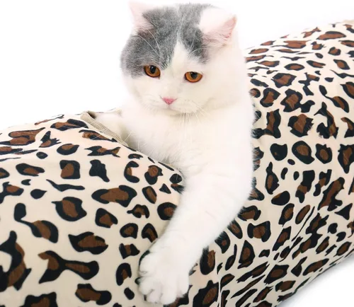 Vista 3 de PAWZ Road Túnel plegable XL para gatos gordos y conejos – Túnel de juego extra ancho para mascotas de 51 x 12 pulgadas con diámetro de 12 pulgadas