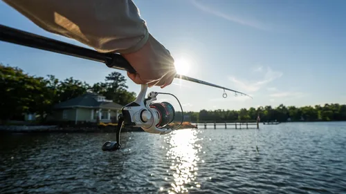 Vista 10 de Abu Garcia Max Pro Carrete de pesca giratorio y Combo de caña de pescar
