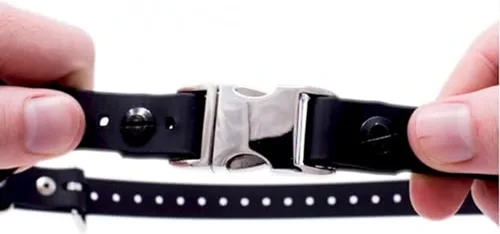 Vista 5 de Educator Correa elástica de 1 pulgada para collar de perro con cierre rápido para receptores FE-580, ET-800 y UL-1200 solamente, no para Negro