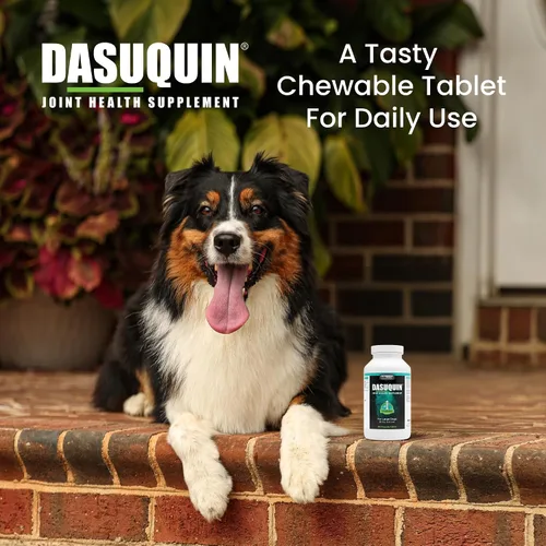 Vista 4 de Comprimidos masticables para articulaciones de perro Dasaquin (150 unidades) Tamaño de perro: Grande (60+ lbs)