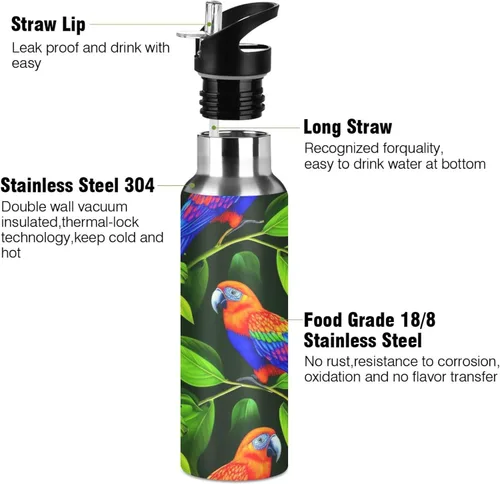 Vista 3 de Insulated Stainless Steel Water Bottle with Straw 20 Oz, BPA-Free Sports Water Bottle with Straw for Gym Outdoor Travel School, Vibrant Birds Green