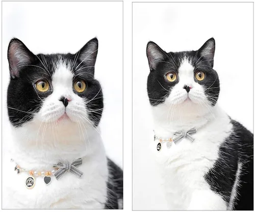 Vista 3 de Collar de moda para mascotas, accesorios de collar de corona de perlas de gato, adornos para peluche - collar de joyería