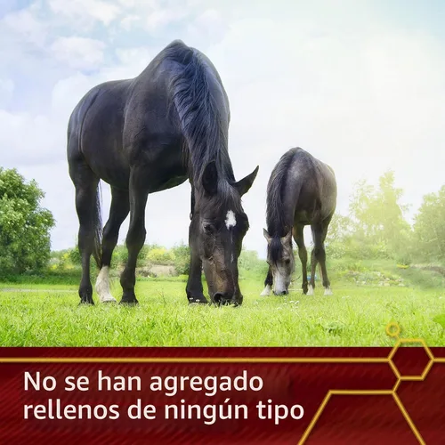 Vista 6 de Vita Flex Suplemento antioxidante Pro Pure C, 2 libras, suministro para 128