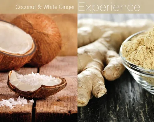 Vista 2 de Cuccio Naturale Mezcla de mantequilla hidratante – Coco y jengibre blanco – Hidratante no graso para manos, pies y cuerpo – Hidratación intensa