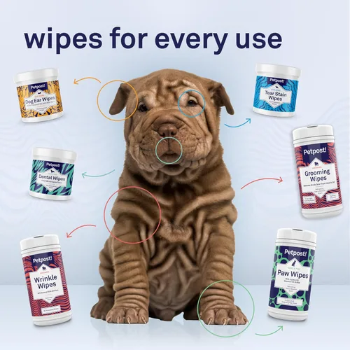 Vista 9 de Petpost Toallitas antiarrugas grandes para perros 60 unidades 5 x 7 limpiador de cara de perro y arrugas Toallitas suaves para mascotas