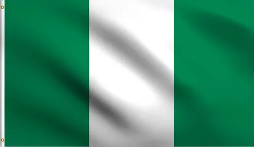 Vista 160 de DMSE - Bandera nacional beninesa beninesa de la República de África Occidental, 2 x 3 pies, 100 % poliéster, 100 % poliéster, resistente a los rayos