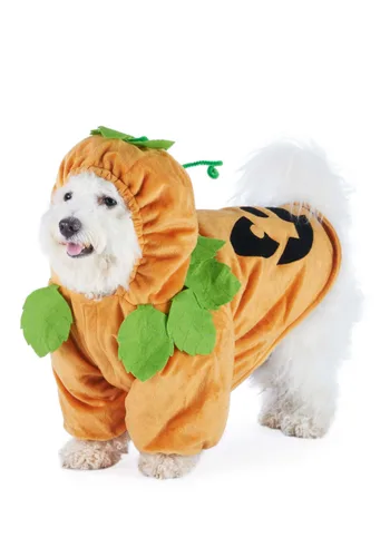 Vista 4 de Disfraz de Calabaza para Mascotas Multicolor