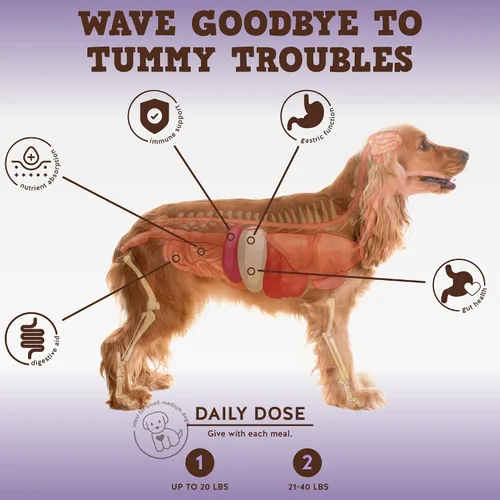 Vista 2 de Jack&Pup - Masticables probióticos para perros, masticables probióticos para perros pequeños y medianos, Pro-Digest Bark Buddies (hasta 40 libras)
