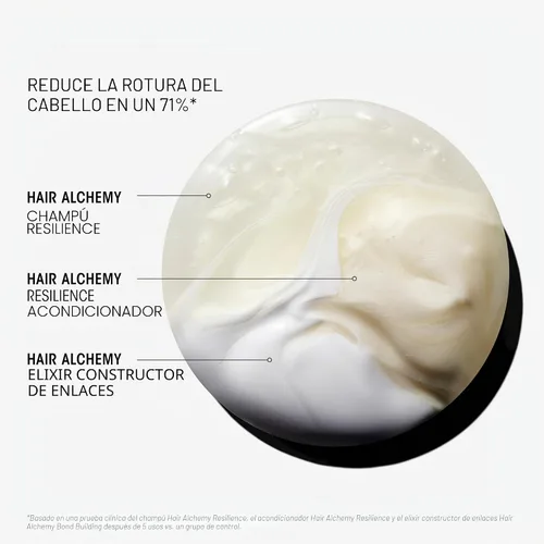 Vista 6 de Oribe Hair Alchemy Strengthening Shampoo - Strengthens Fragile Hair