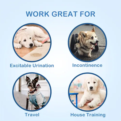 Vista 7 de Pet Soft Pañales desechables para perros hembras, pañales desechables para gatos, pañales para cachorros, 8 unidades, XS