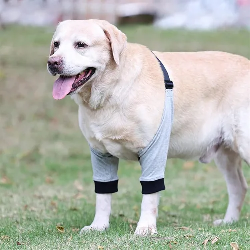 Vista 2 de Coderas para perros, coderas y soporte para el hombro, soporte para la pierna delantera del perro para la rehabilitación de lesiones, cirugía