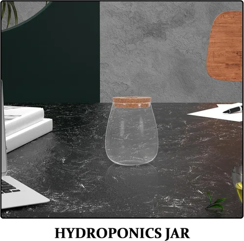Vista 3 de 2 Sets Hydroponic Glass Vase with Cork for Orchid Cuttings