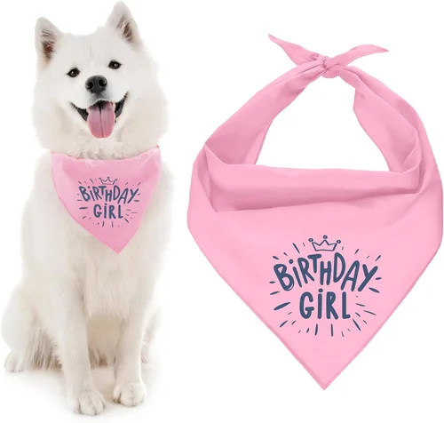 Vista 36 de Parisian Pet Bandanas naranjas para perros – Bandana ajustable para cachorros – Accesorios para perros para niños y niñas – Pañuelo para perros Best