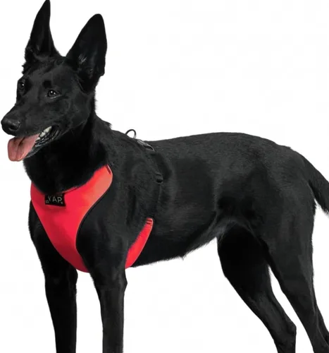 Vista 13 de YAP Techno® - Arnés para perro sin tirones, ajustable en 4 direcciones, arnés de chaleco para perro con control de temperatura, arnés para perro sin