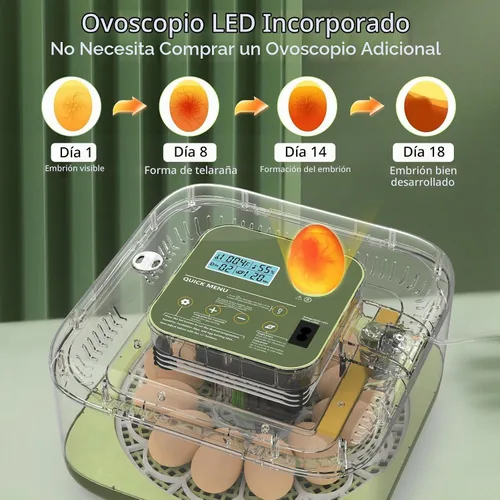 Vista 4 de Incubadoras para incubar huevos Incubadora automática de huevos con control de temperatura y pantalla de humedad, capacidad de 12 huevos para pollo