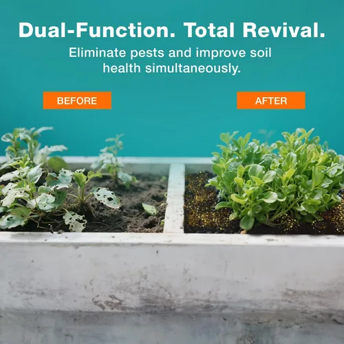 Vista 4 de EcoVenger Bolsa multiusos de gránulos en V de 2 libras, horticultura o uso doméstico para protección en interiores y exteriores contra insectos