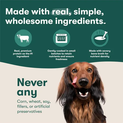 Vista 4 de Jinx Alimento húmedo para perros sin granos de carne de res, hecho en casa, paquete de 6, 9 onzas