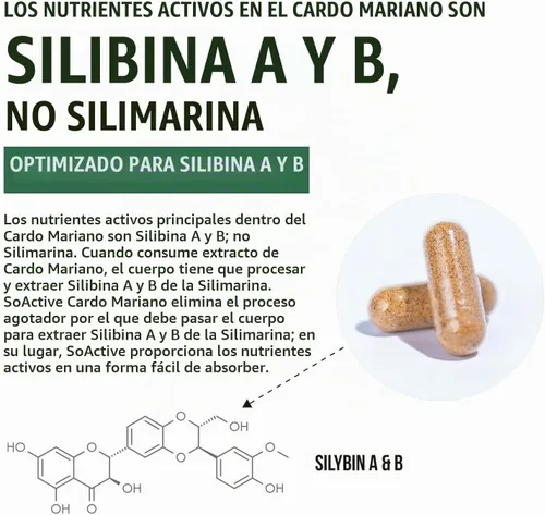 Vista 6 de SoActive® Milk Thistle: fitosoma de cardo mariano 10 veces más eficaz, optimizado para silybina bioactiva esencial A & B Plus Bilear® extracto