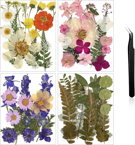 Vista 30 de Nuanchu Flores secas prensadas negras para manualidades, flores secas góticas, flores silvestres prensadas naturales a granel con pinzas para molde