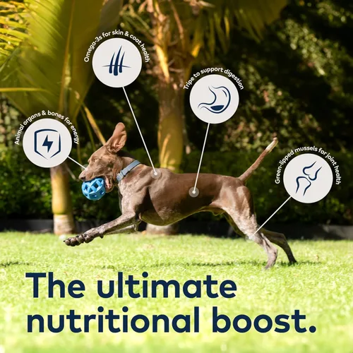 Vista 4 de ZIWI Peak - Comida enlatada para perros, completamente natural, alto contenido en proteínas, sin granos, con ingredientes limitados