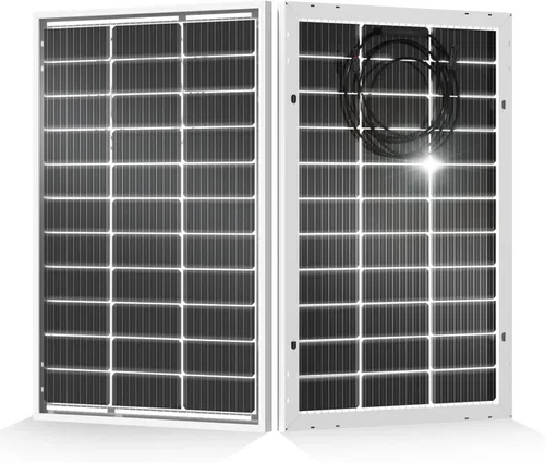 Vista 10 de ECO-WORTHY - Panel solar 100 W, 195 W