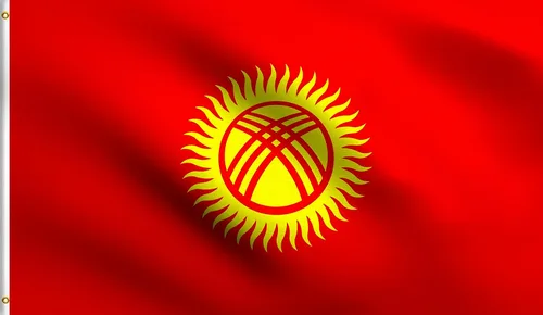 Vista 191 de DMSE - Bandera nacional beninesa beninesa de la República de África Occidental, 2 x 3 pies, 100 % poliéster, 100 % poliéster, resistente a los rayos