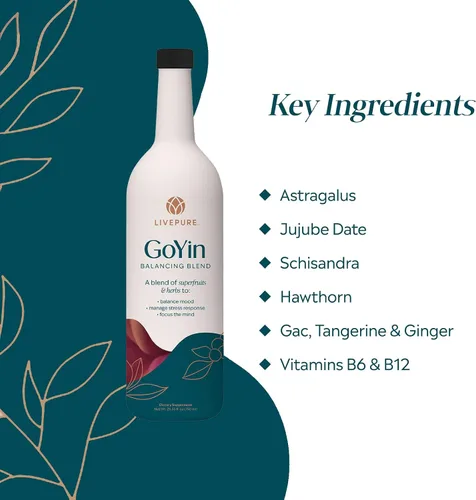 Vista 4 de Pure GoYin - Armonización del bienestar a través de la sabiduría antigua - Revelando una fusión de la medicina tradicional china y la nutrición