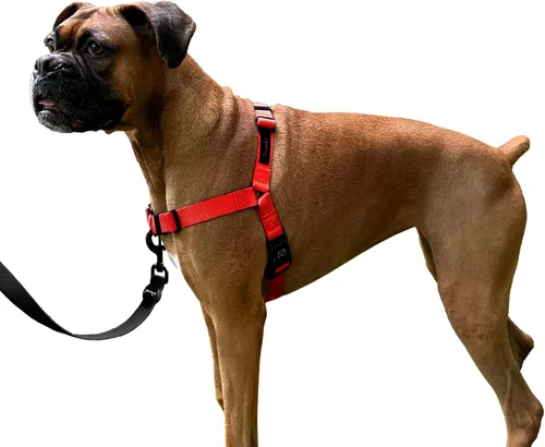 Vista 7 de ShawnCo Dream Walk Arnés para Perros Sin Tirones - Ajustable, Cómodo, Fácil de Usar, Cabestro para Mascotas para Ayudar a Detener los Tirones