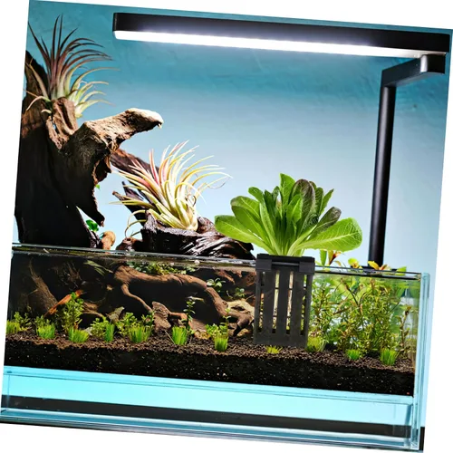 Vista 3 de Ipetboom Soporte colgante para plantas de acuario, 4 piezas, maceta acuática con gancho, plantas acuáticas para acuario, plantas de agua para As