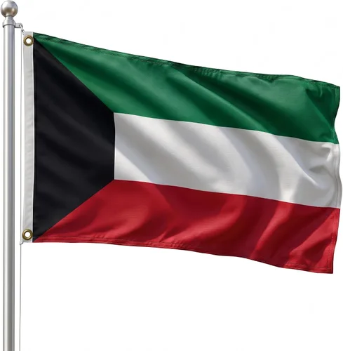 Vista 65 de DMSE - Bandera nacional beninesa beninesa de la República de África Occidental, 2 x 3 pies, 100 % poliéster, 100 % poliéster, resistente a los rayos