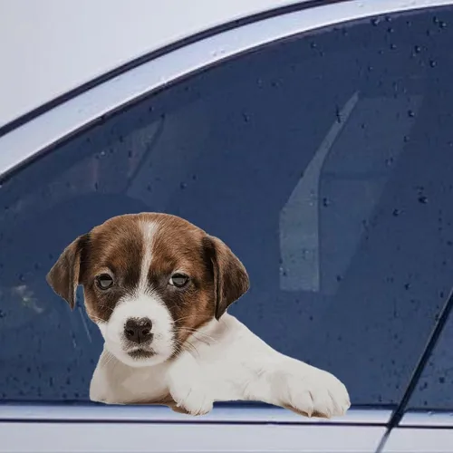Vista 28 de Calcomanías de perro caniche, divertidas calcomanías de vinilo troqueladas para automóvil, laptop, parachoques Estilo-37