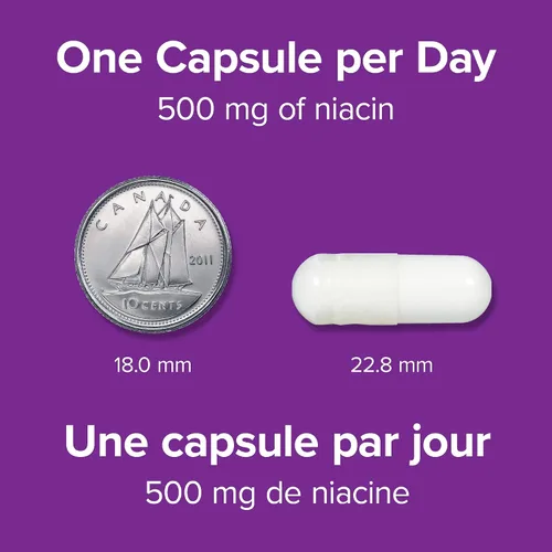 Vista 5 de Webber Naturals Cápsula de vitamina B3 de niacina sin enjuague, 500 mg 90