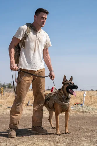 Vista 3 de Dog Das Glück hat vier Pfoten Blu-ray