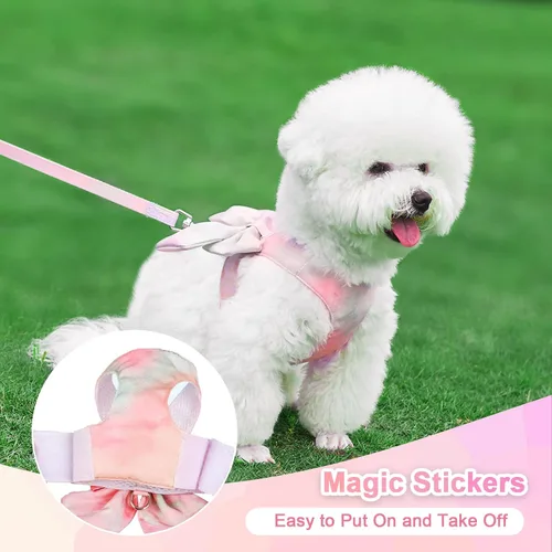 Vista 3 de PETCARE Lindo Juego de Arnés y Correa con Moño para Perro y Gato Elegante Arnés de Gradiente Arcoíris para Cachorros sin Tirones Arnés Suave de Rosa