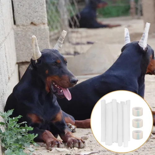 Vista 7 de Ipetboom Kit de 10 piezas de publicación de orejas de perro, herramienta de soporte para orejas de perro, herramienta de soporte para orejas