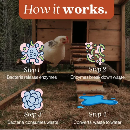 Vista 6 de Eco Strong Coop Refresher - Eliminador de olores de gallinero para pollos (32 onzas)