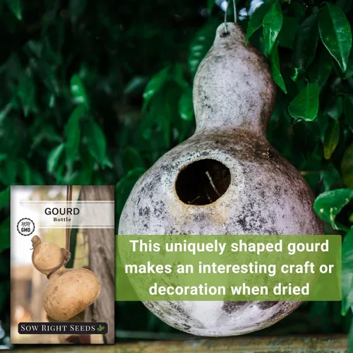 Vista 5 de Sow Right Seeds - Semilla de calabaza en botella para plantar - Paquete de reliquia sin OMG con instrucciones para plantar y cultivar un huerto