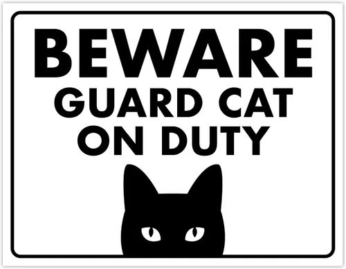 Vista 59 de Señal de Gato de 24 Horas de Vigilancia Felina de Premises Under 24 Hour - Cartel de gato divertido, metal, 8 x 12 pulgadas, letreros de gato